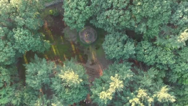 森の中の庭に降下するドローン — ストック動画