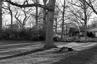 Bahçedeki yapraksız bir ağacın altında dinlenmek için küçük bir bankın gri tonlu görüntüsü.