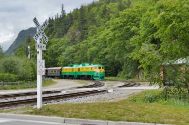 Bir endüstriyel yeşil ve sarı Yukon treni Alaska, ABD 'deki yol kavşağına yaklaşıyor.