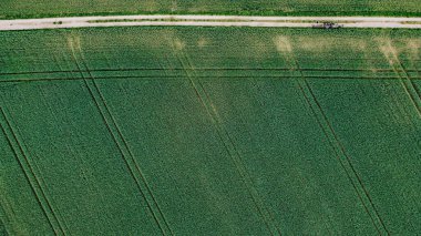 Her iki tarafında yeşil otlarla çevrili dar bir yolun havadan görünüşü.