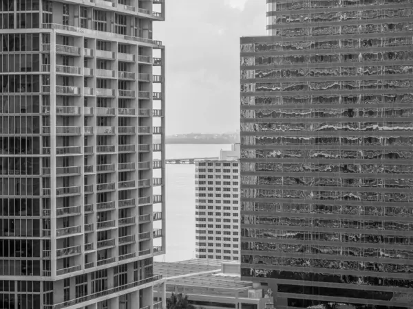 黎明时分 一张迈阿密市中心的黑白照片 透过高楼朝水面望去 — 图库照片