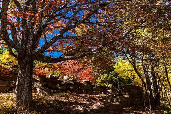 Güneşli Bir Günde New England Sonbahar Yapraklarının Manzarası — Stok fotoğraf