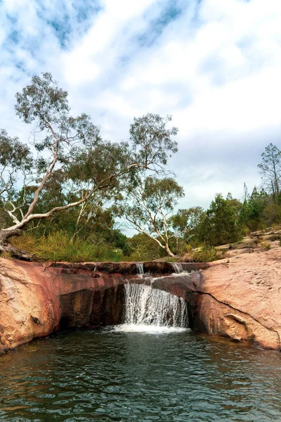 Vertical Shot Small Waterfall Trees Background Beechworth Gorge Victoria — Stock Photo, Image