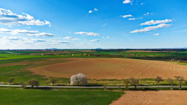 Vacker Utsikt Över Gröna Fält Med Molnig Himmel Bakgrund — Stockfoto