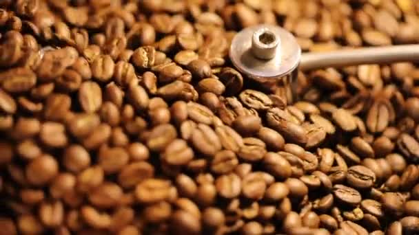 一只咖啡豆的特写镜头在烤面包机里 — 图库视频影像