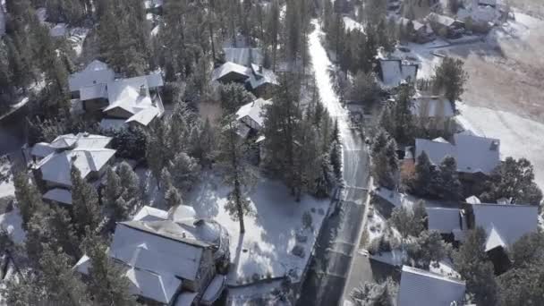 나무들이 눈덮인 마을의 아름다운 — 비디오