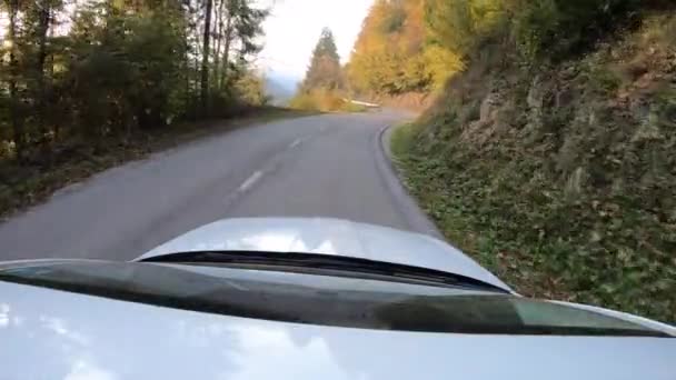 Punkt Widzenia Kierowcy Kamery Drogowej Jadącego Wiejskiej Drodze Przez Las — Wideo stockowe