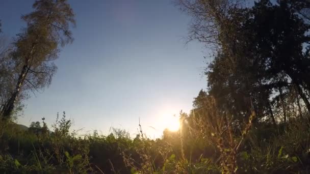 Eine Flache Aufnahme Eines Jungen Mädchens Das Gegen Sonnenuntergang Aufs — Stockvideo