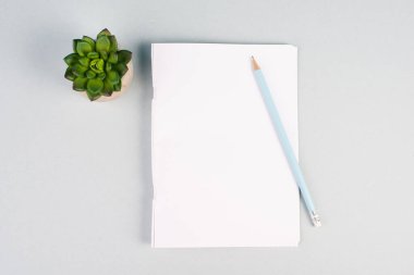 Kalem ve kaktüs desenli boş bir kağıt, yeni fikirler için beyin fırtınası, mesaj yazmak, ara vermek, ofis masası.