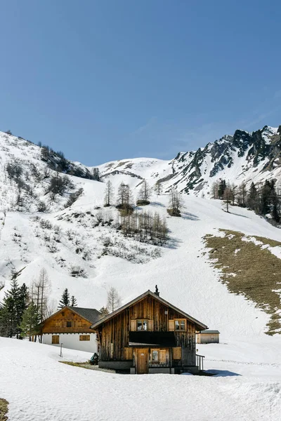 列支敦士登特里森贝格雪地的马本滑雪区垂直拍摄 附近有木制房屋 — 图库照片