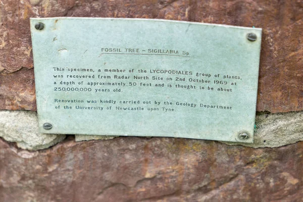 Sign Fossilised Tree Hauxley Nature Reserve Northumberland Explains Its Discovery — Stock Photo, Image