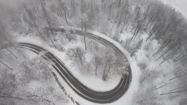 在雪地的森林里 一辆汽车在弯道上行驶的鸟瞰图 — 图库视频影像