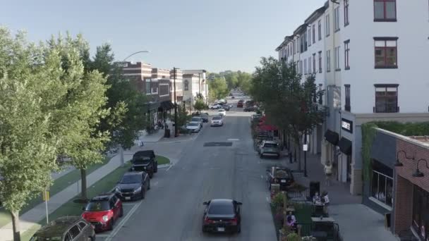 Een Luchtfoto Van Een Woonwijk Naperville Illinois Verenigde Staten — Stockvideo