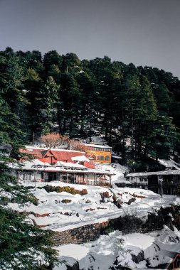 Kışın orman dağlarındaki evlerin dikey görüntüsü.