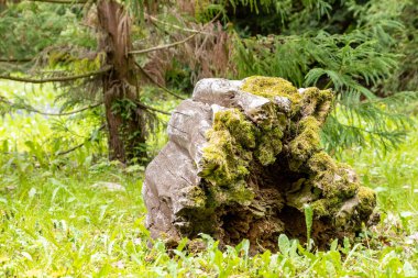 Macaristan 'ın Zalaegerszeg kentindeki Csacs Botanik Bahçesi (Csacsbozsoki Botanik Bahçesi)