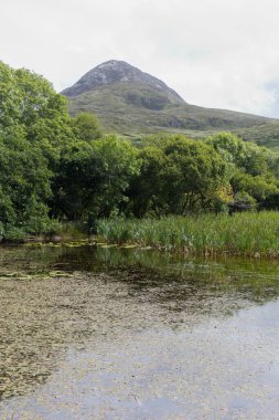 Bulutların altındaki vahşi bir İrlanda sahilinin dikey çekimi.