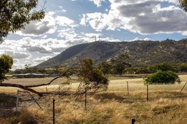 Mavi bulutlu arka planda dağılmış ağaçların güzel manzarası.