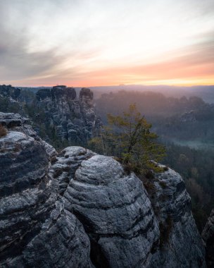 Saxon İsviçre Ulusal Parkı 'ndaki Bastei kayalıklarında büyüyen bir ağacın manzarası gün batımında Almanya' nın Dresden yakınlarında alacakaranlık gökyüzüne karşı.