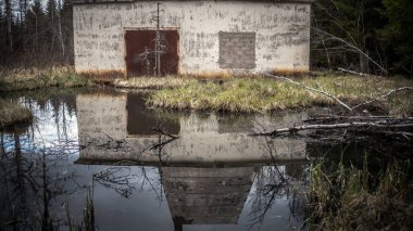 Su birikintisine yansıyan ormandaki terk edilmiş eski bir barakanın dış görünüşü