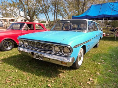 Eski Aqua AMC Rambler, 1963-1965 model taşra steyşın vagonu. Doğa, çimen, ağaçlar. Klasik araba şovu. Kopyalama alanı