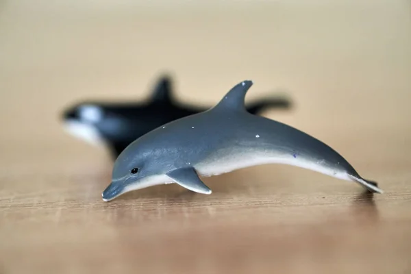 Een Close Shot Van Een Mini Dolfijn Speelgoed Beeldje Een — Stockfoto