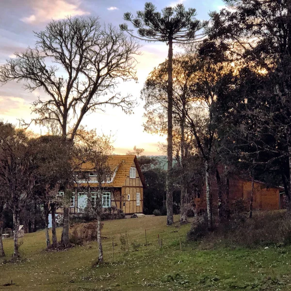 一座古老的乡村房屋 绿草如茵 高高的树映衬着夕阳的天空 — 图库照片