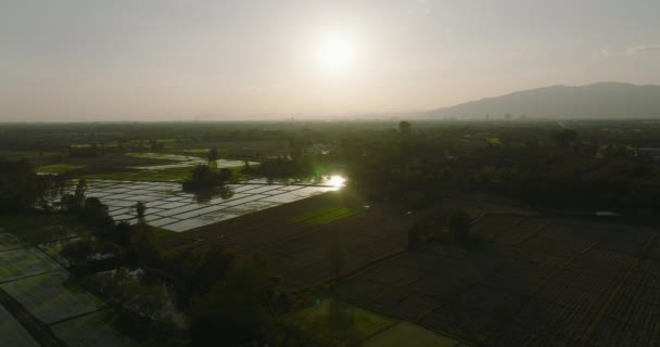 Vue Aérienne Panoramique Des Rizières Chiang Mai Thaïlande — Video