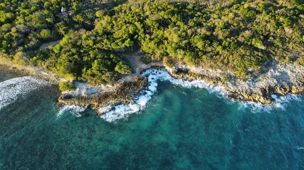 Bir deniz manzarası ve kıyı ormanı.