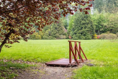Macaristan 'ın Zalaegerszeg kentindeki Csacs botanik bahçesindeki küçük bir kaldırıma yakın plan.