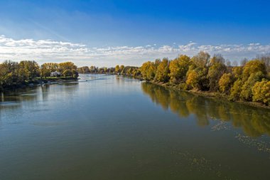 Voyvodina 'da bulutlu gökyüzünün altında ağaçlarla çevrili Tisa Nehri' nin büyüleyici manzarası