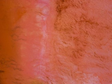 Batı Avustralya 'daki Hutt Lagoon' da alglerin yol açtığı turuncu bir tuz gölü.