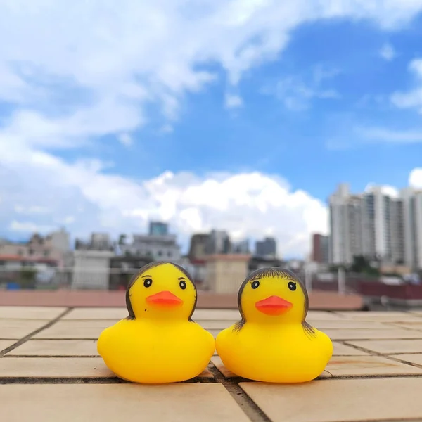 Closeup Two Funny Yellow Rubber Ducks Cityscape Background — Stock Photo, Image