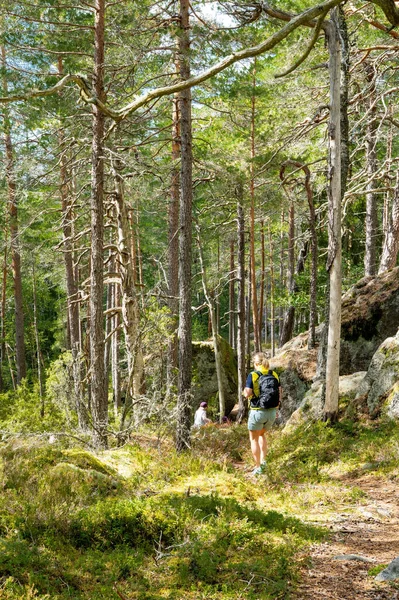 Pessoas Caminhando Uma Floresta Suécia Dia Ensolarado — Fotografia de Stock