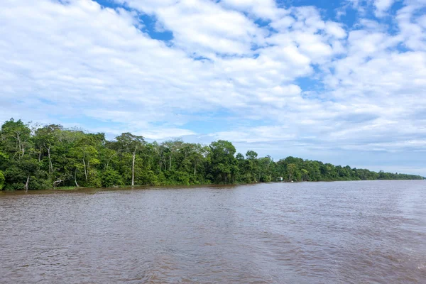 Een Prachtig Uitzicht Bosbomen Amazonas Rivier Het Amazone Regenwoud Brazilië — Stockfoto