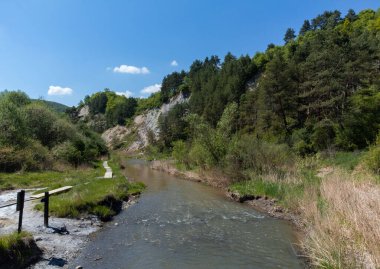Praid Resort 'un tuz kanyonundan manzara - Romanya, yaz, insansız hava aracı