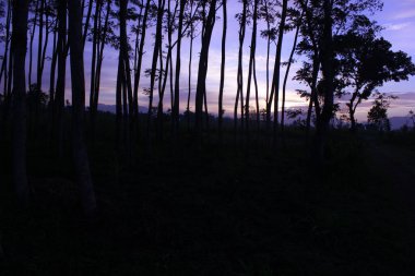 Dağlarda gün doğumunun güzel bir görüntüsü