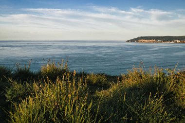 A beautiful seascape from a grassy shore under a blue sky