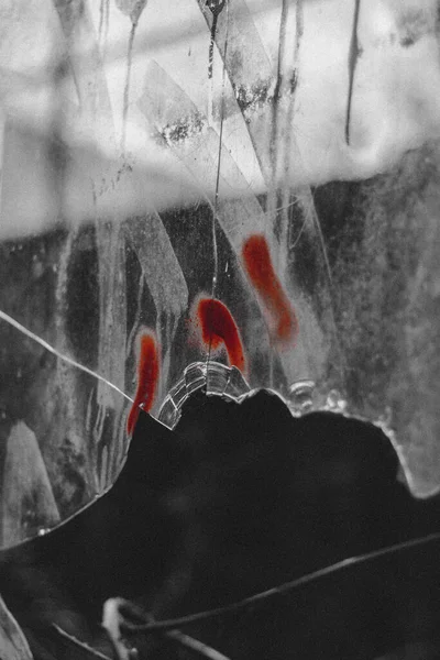 Broken Window Which Look Blood Found Lost Place — Stock Photo, Image