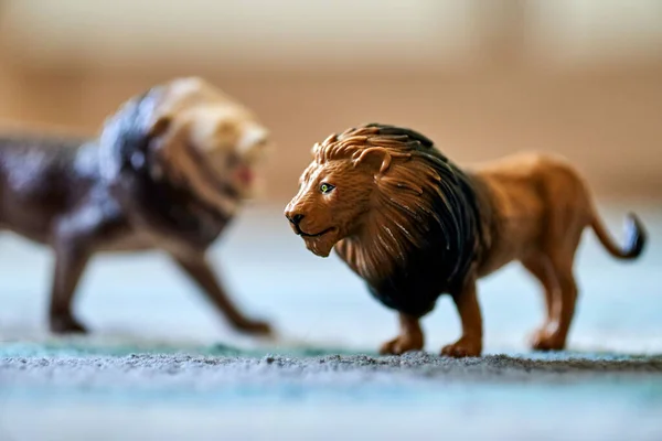 Eine Nahaufnahme Eines Löwenspielzeugs Auf Dem Teppich Mit Einem Weiteren — Stockfoto