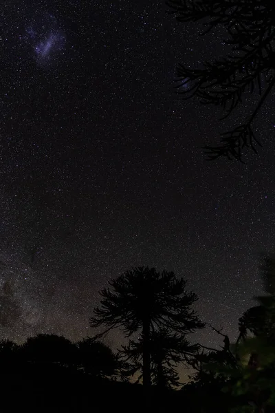 Plano Vertical Hermoso Cielo Con Estrellas Brillantes Por Noche Una —  Fotos de Stock