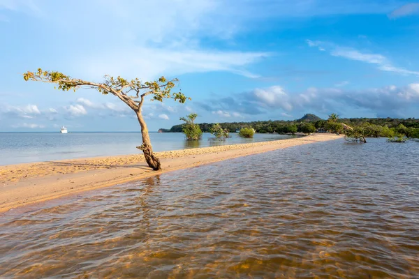 Tapajos Nehrinin Kıyısında Kumlu Bir Sahil Amazon Ormanında Brezilya — Stok fotoğraf