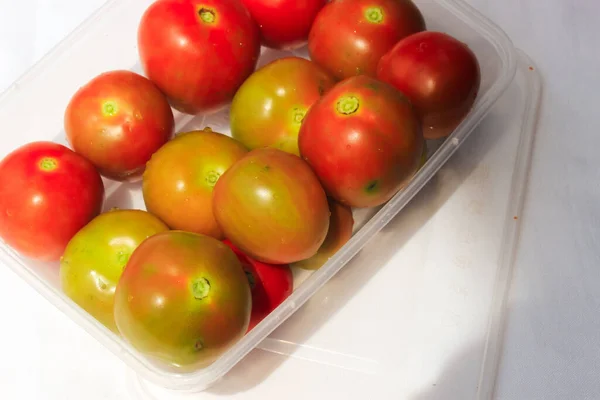 Świeże Czerwone Zielone Pomidory Przygotowanie Gotowania — Zdjęcie stockowe