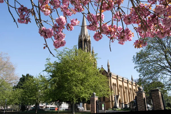 Kwitnące Drzewo Kościołem Małgorzaty Tle Blackheath Londyn — Zdjęcie stockowe