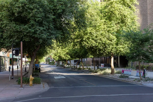 米国アリゾナ州の空の通りと緑の木があるダウンタウンフェニックス — ストック写真