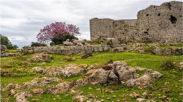 Grosseto 2022 Ruins Ancient Roman City Called Cosa Partially Covered — Stock Photo, Image