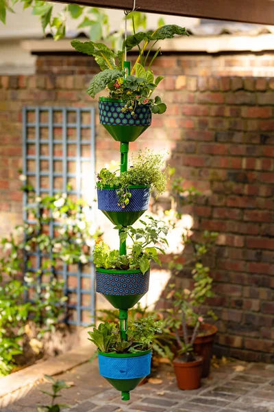 Vertical Garden Small Backyard — Stock Photo, Image
