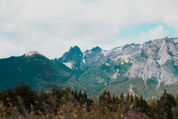 Breathtaking Landscape Rocky Mountains Cloudy Sky Background Green Treetops Foreground — Fotografia de Stock