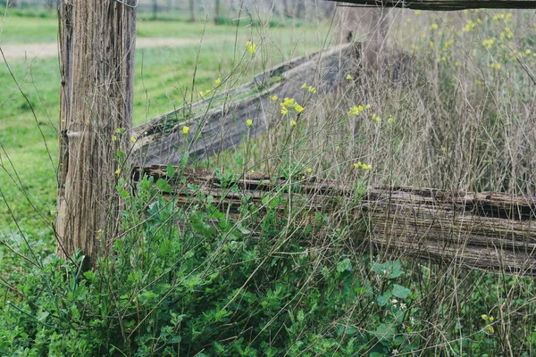 Close Old Wooden Fence Field Wildflowers — Stock Photo, Image