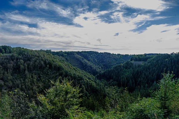 Beautiful View Forest Green Vegetation Blue Sky — Foto Stock