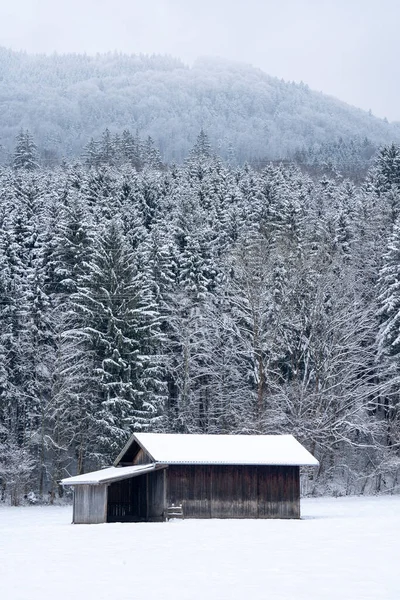森林上覆盖着雪的小木屋的竖直照片 — 图库照片